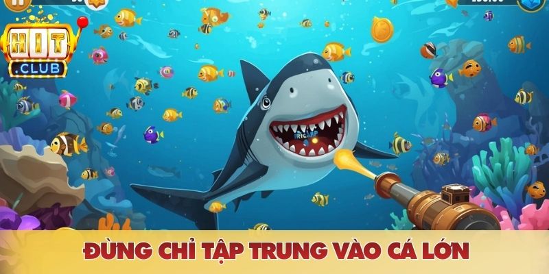 Đừng chỉ tập trung vào cá lớn